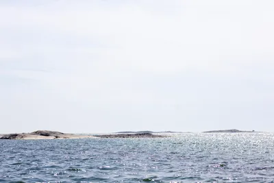260629_Gotland-Runt_Foto-Daniel-Stenholm_DSR66763.jpg