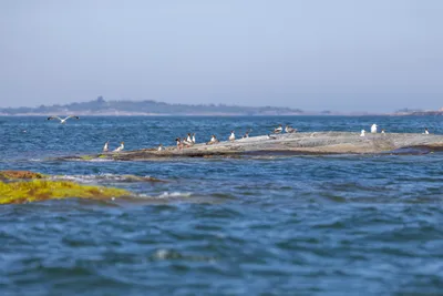 260629_Gotland-Runt_Foto-Daniel-Stenholm_DS5R0468.jpg