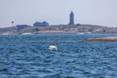 260629_Gotland-Runt_Foto-Daniel-Stenholm_DS5R0097.jpg
